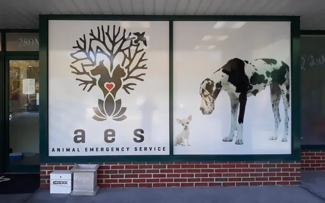 AES Animal Emergency Service window graphics