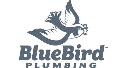 BlueBird logo