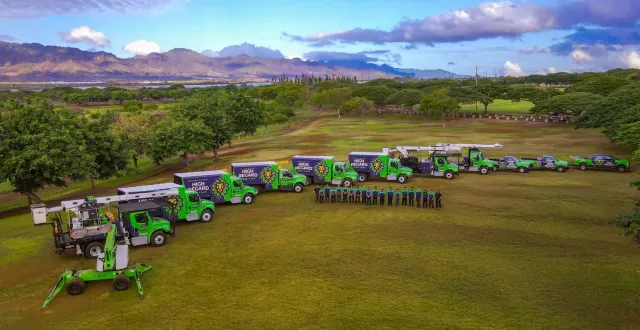 High Regard Tree Care fleet wrapped by CL Visual