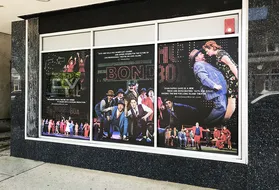 Window Film project by CL Visual